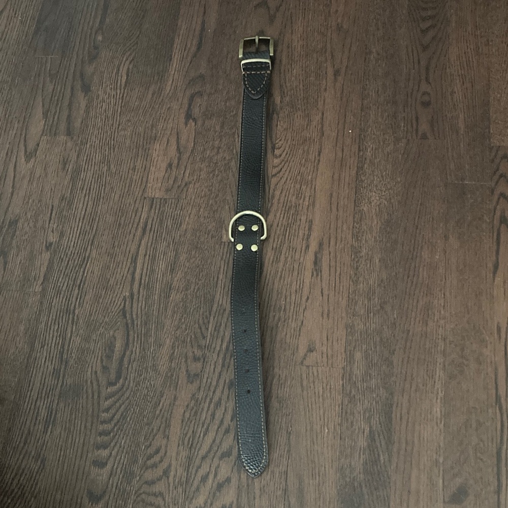 Black Leather dog collar with brass buckle.